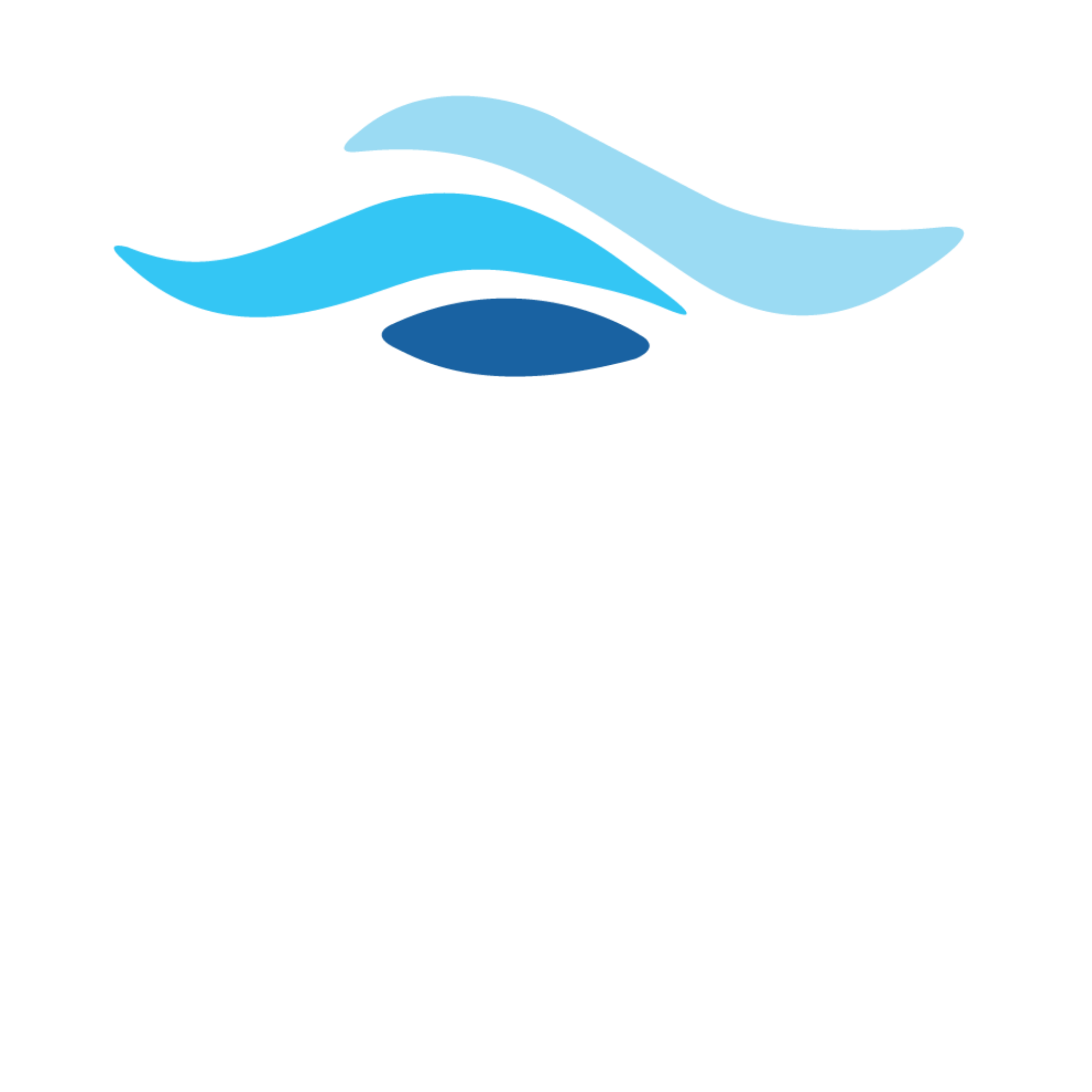 Born in Goa logo